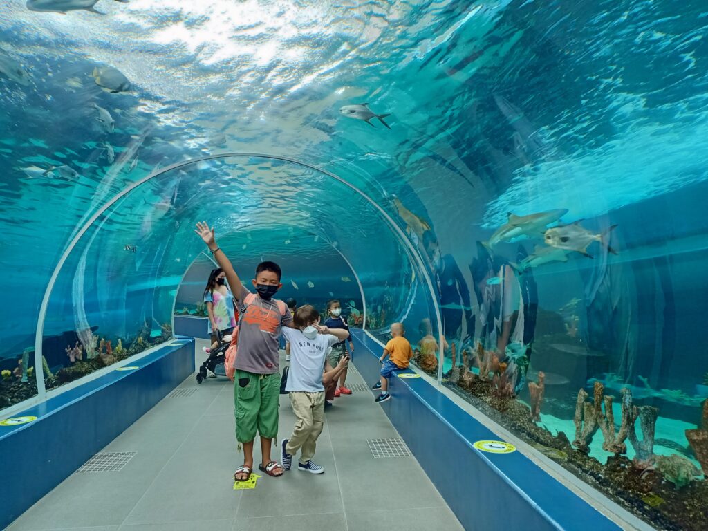 An aerial view of Cebu Ocean Park showcasing its sprawling complex surrounded by vibrant blue waters, with visitors exploring the various attractions and exhibits inside.