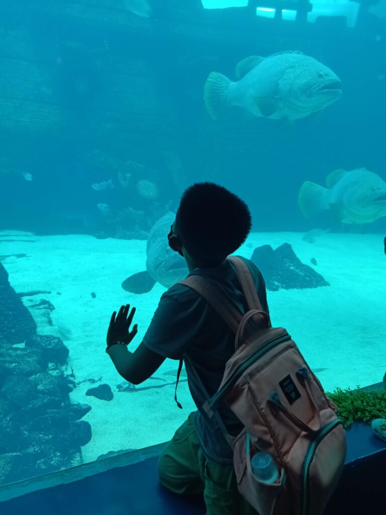 A kid marvel at the colorful marine life inside Cebu Ocean Park's main tank gallery