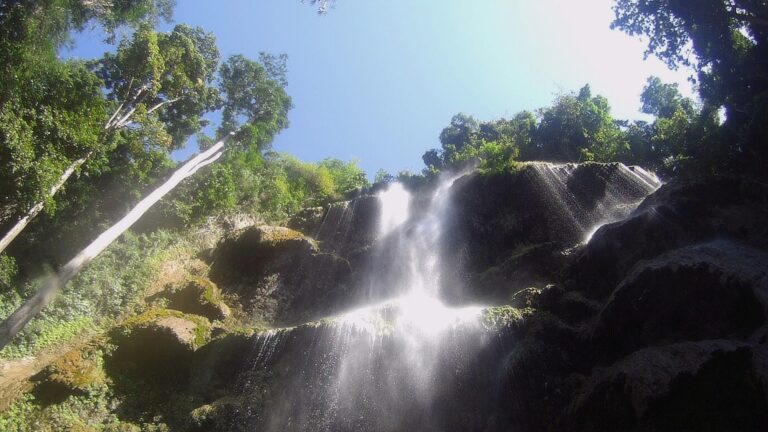 A Refreshing Family Adventure: Tumalog Falls in Oslob, Cebu