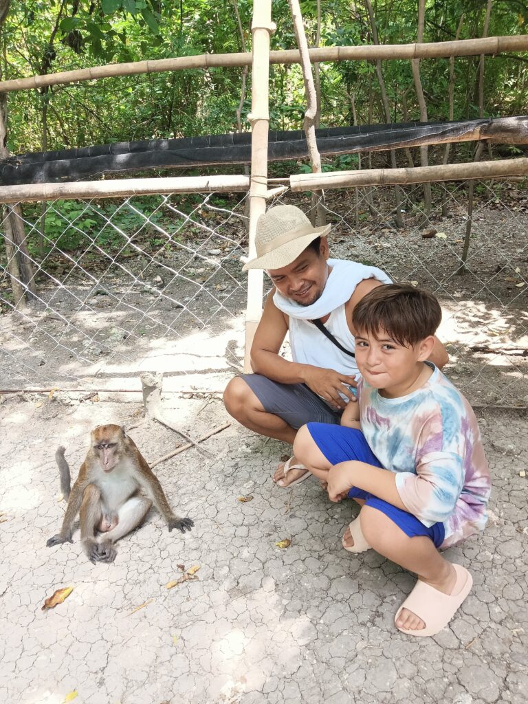 Up close with Oslob's wild long-tailed macaques.
