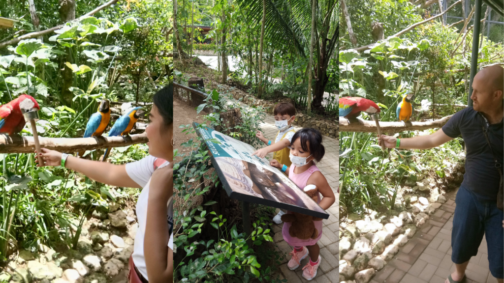 Family enjoys Cebu Safari & Adventure Park: Wildlife encounters, thrilling rides, and unforgettable memories.