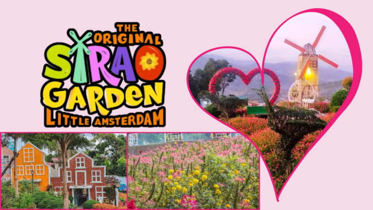 Discovering Sirao Garden: Cebu’s Little Amsterdam